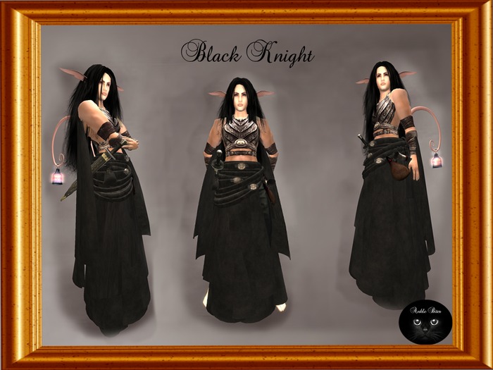 Petite Black Knight