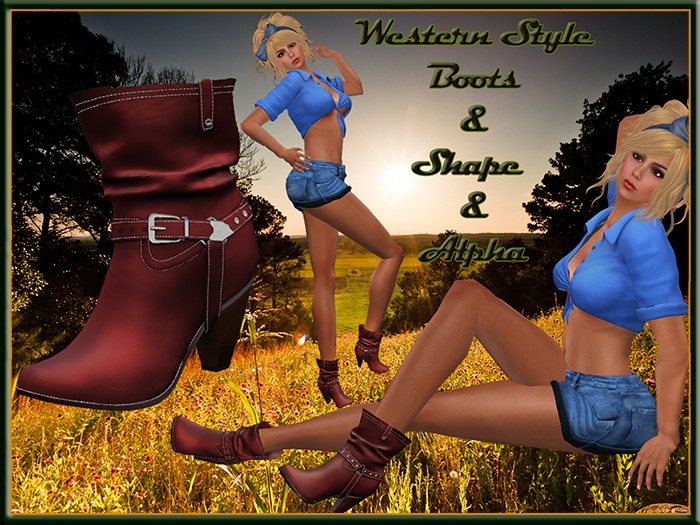Western Boots Pink