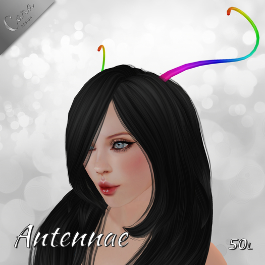 Antennae RAINBOW