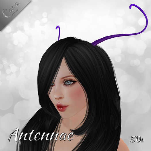 Antennae PURPLE