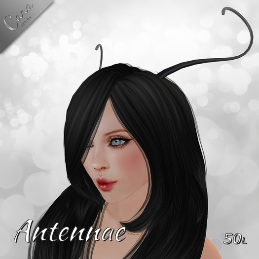 Antennae BLACK