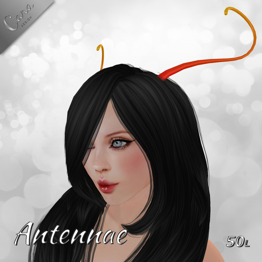 Antennae PHOENIX