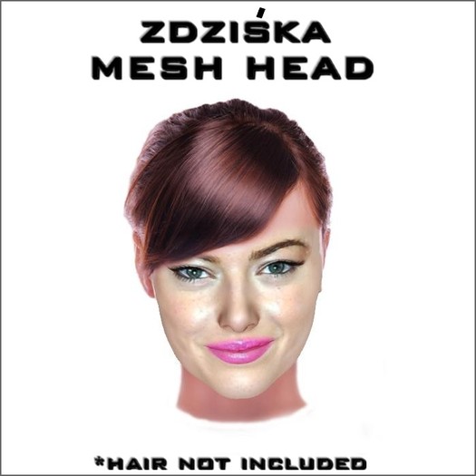 Zdziska mesh head