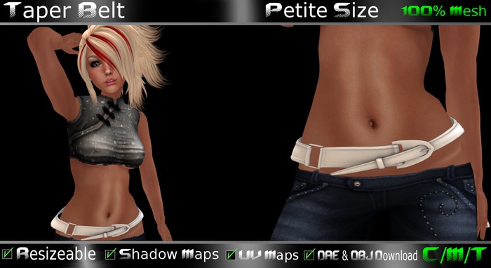 EVO - Taper Belt Petite Boxed 