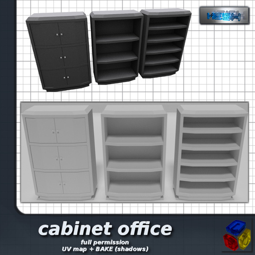 -LEO- cabinet office