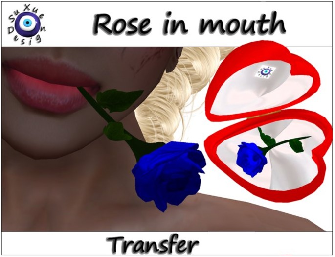 ! " Su Xue " VALENTINE Rose in mouth Blue