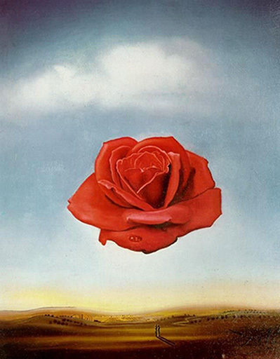 SD ~ Medetative Rose  (1958)  (Boxed)