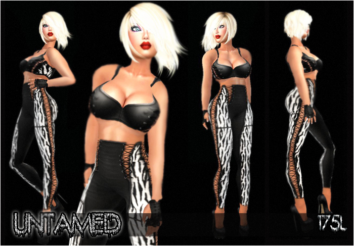Souled Out Untamed in Zebra