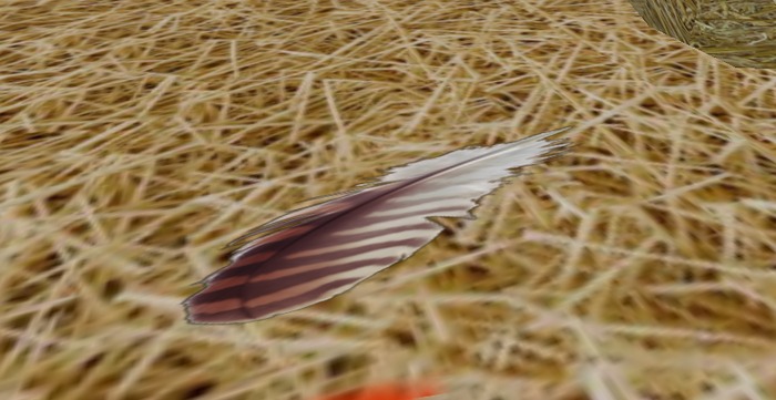 Feather TEXTURE - Wild Turkey