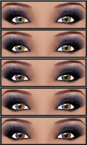 Pack  Eyes XK Multicolor