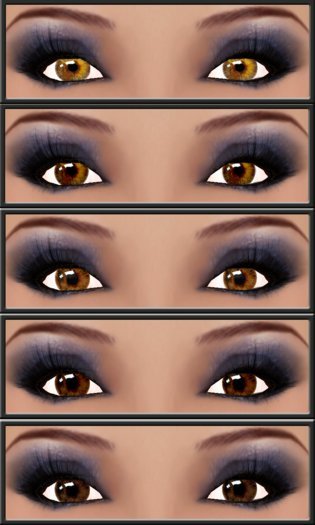Pack  Eyes XK Marron