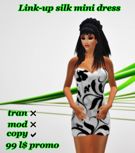 link up Mesh Mini Dress