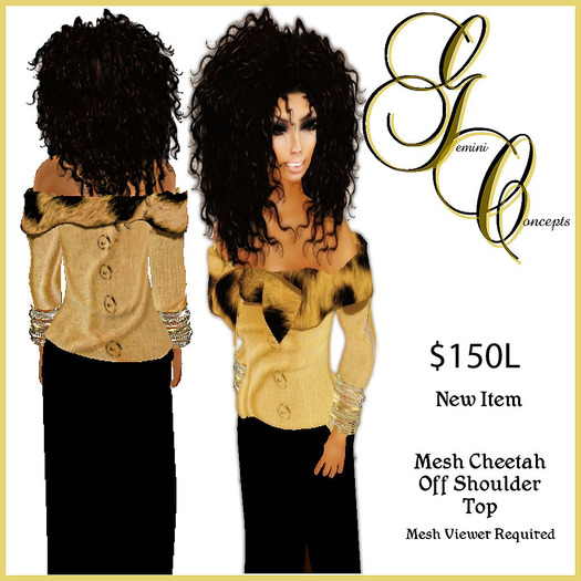 New Mesh Off Shoulder CheetaSwirl Top Boxed