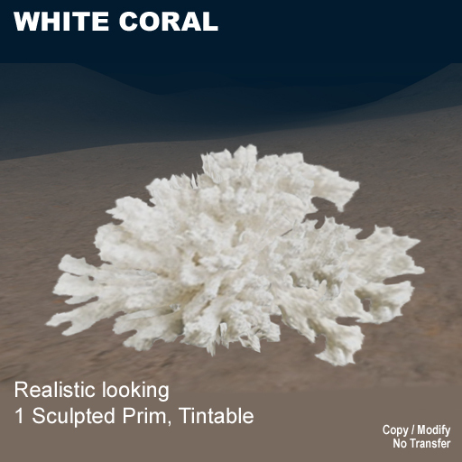 1 prim White Coral 2