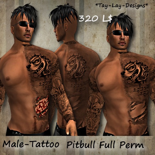 *Tay-Lay-Designs!!!Pitbull-Tattoo-Male-Full Perm