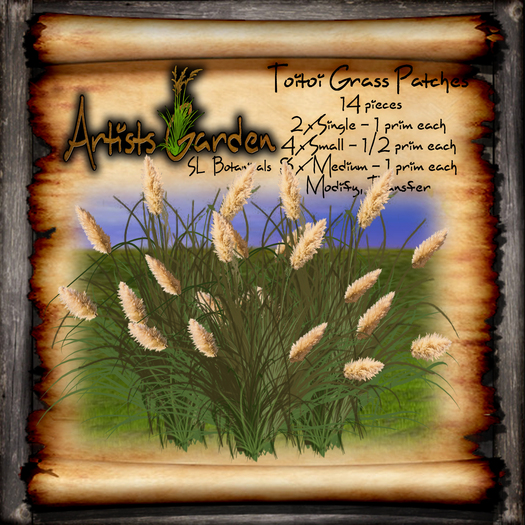 -A'G- Toitoi Grass Patches Single Small Medium