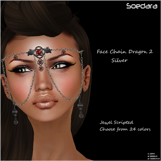 ~Soedara~ Silver Face Chain Dragon 2