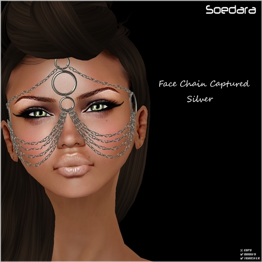 ~Soedara~ Silver Face Chain Captured