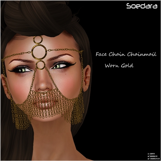 ~Soedara~ Worn Gold Face Chain Chainmail
