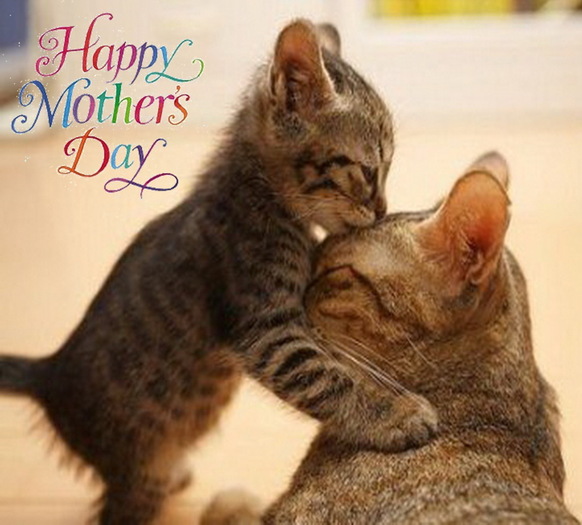 ❤ Happy Mothers Day "Kittens" card - Click to open ❤