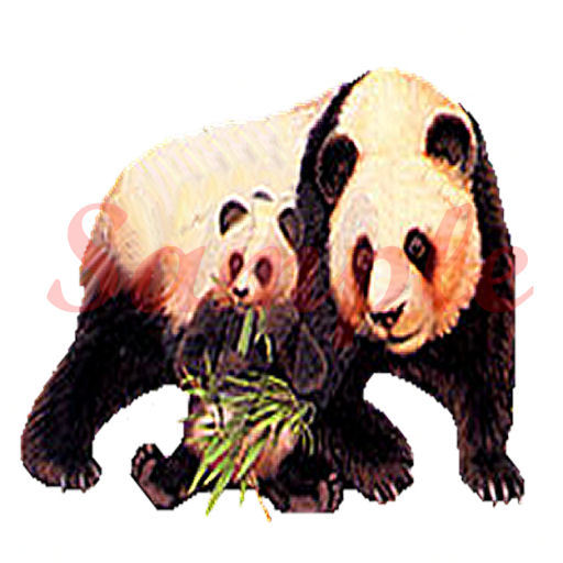 Panda Poofy,50