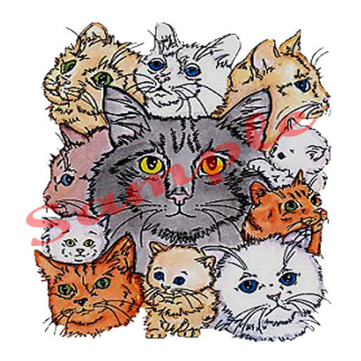 Kittys Poofy,50