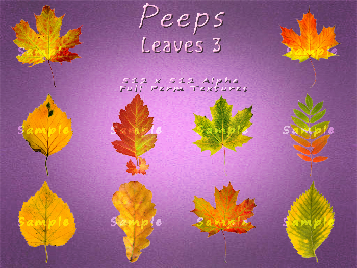 Peeps Textures Leaves 3