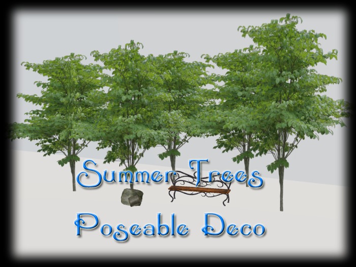 <BD> Summer Trees