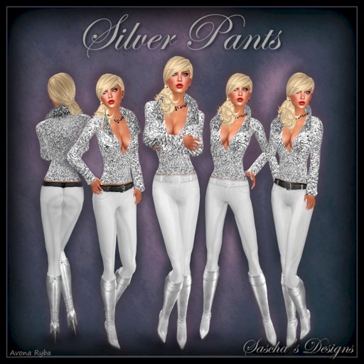 SAS - Silver Top & Pants (3x)