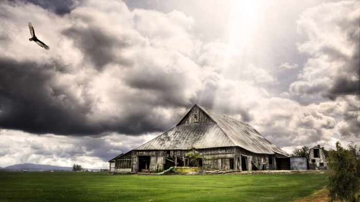 Abandoned Barn