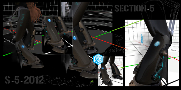 Section 5 Niantic Cyber legs