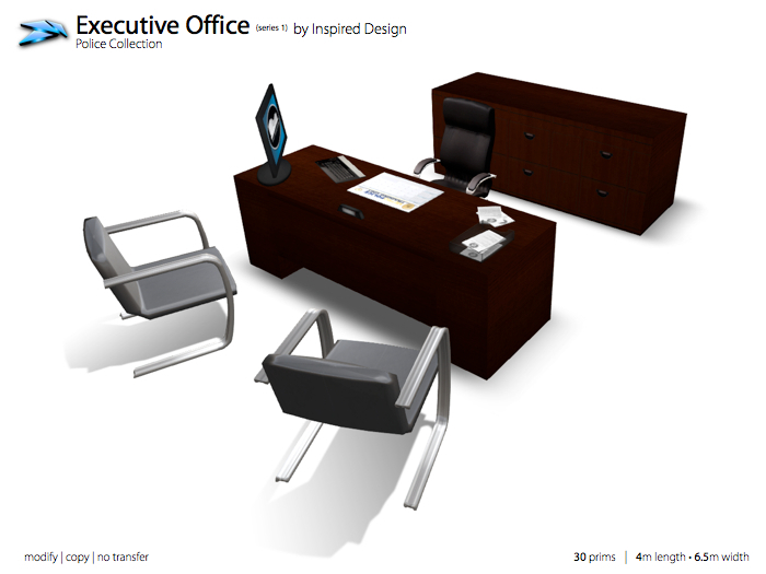 Infinite Possibilities - Police Department - Executive Office (Series 1)