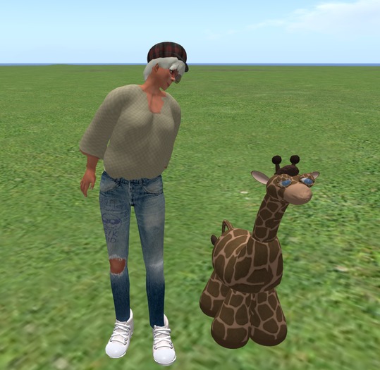 Wingsong Giraffe Companion Box