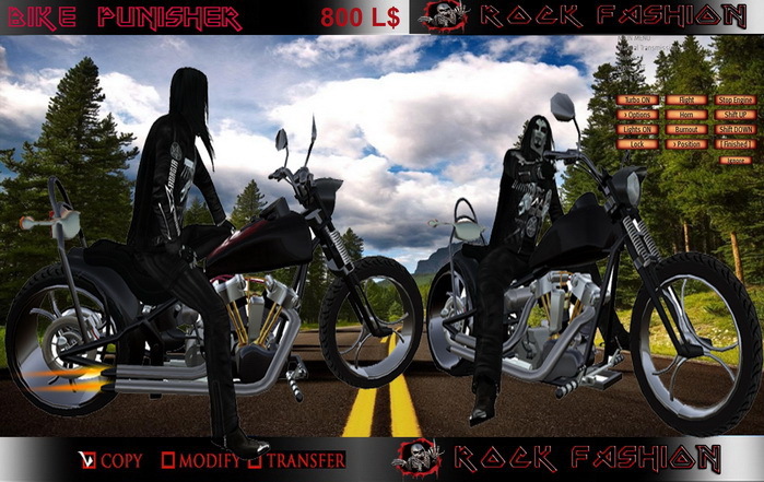 Bike Renegade