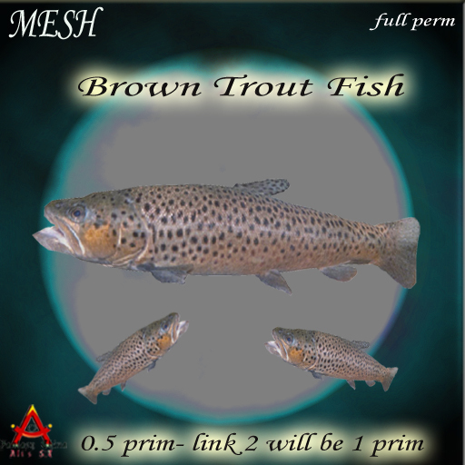 MESH Brown Trout Fish full perm 