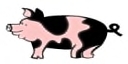 SSS Poofer piggy, wear, type /555 poof