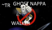 ~TR ghost nappa walker, boxed
