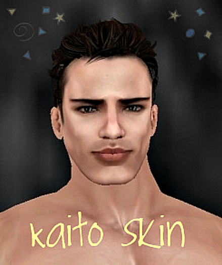 Skin Kaito