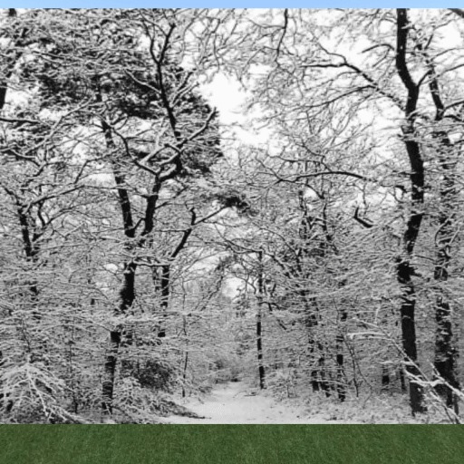Winter scene7