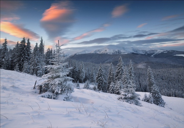 Winter scene8