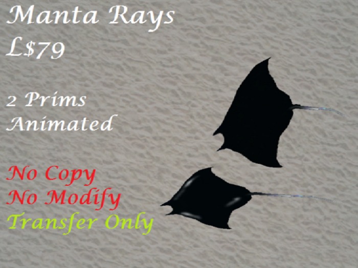 Manta Rays