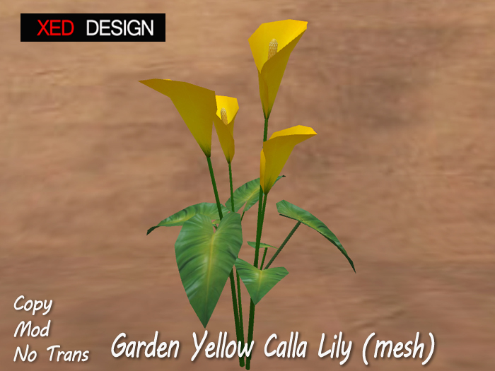 Second Life Marketplace XD Garden Yellow Calla Lily (mesh)