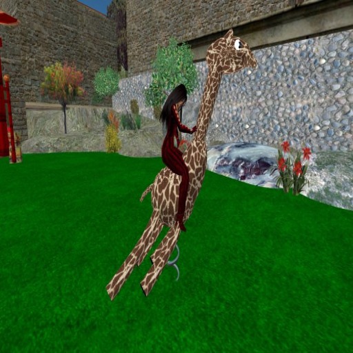 Chey's Giraffe Ride, Seats Two!