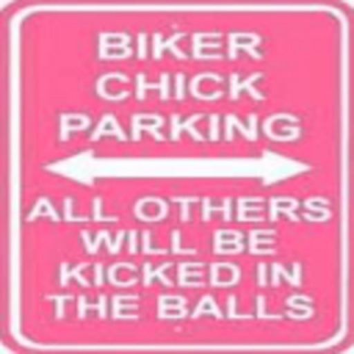 Biker  Chick - Balls (pink) Sign