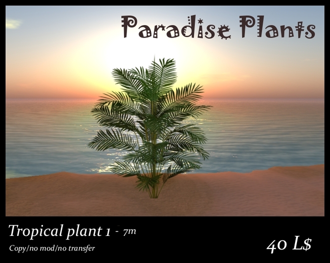 Tropical plant 1 - 7m