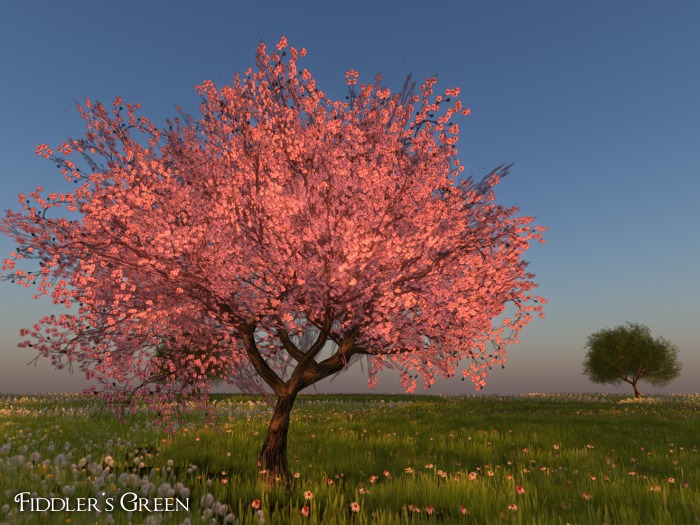 FG Cherry 4 pink (COPY)