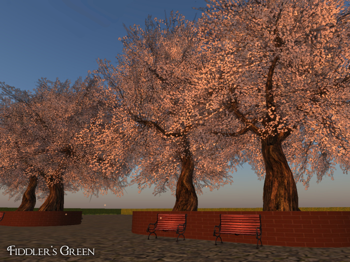 FG Cherry 20 white (COPY)