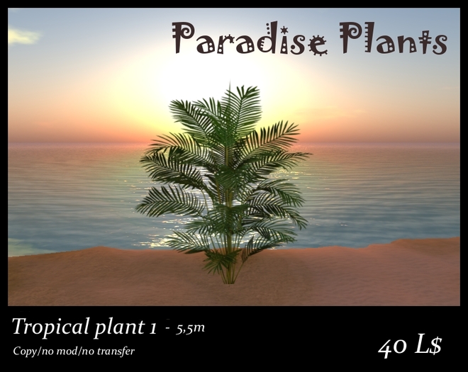 Tropical plant 1 - 5,5m