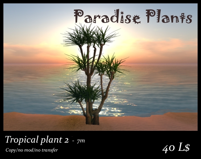 Tropical plant 2 - 7m