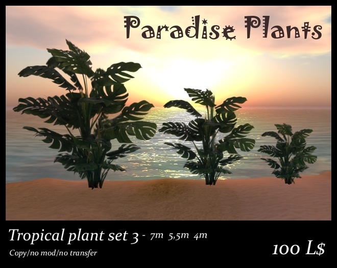 Tropical plant set 3